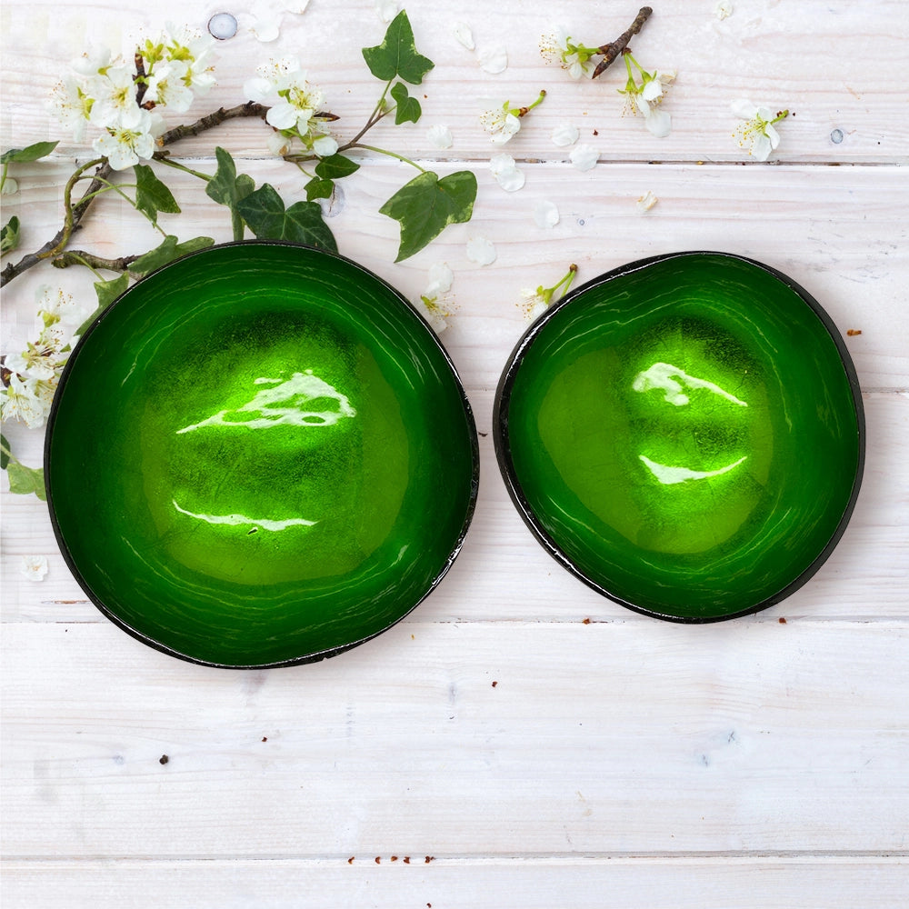 Hand-Painted Lacquered Coconut Bowls - Set of 2