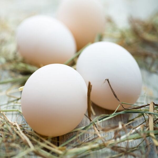 Free Range Duck Eggs Box Of 6