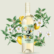 Fruit Boom Lemon Ginger