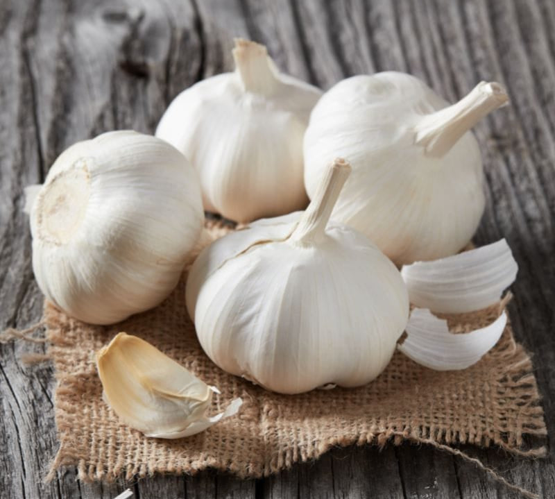 garlic