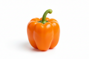 Bell Pepper Orange