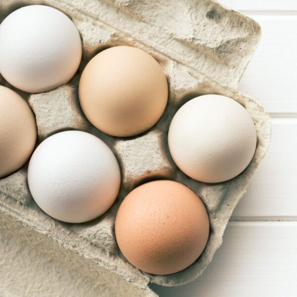 Large Free Range Eggs 6s 2 600ÃƒÆ’Ã¢â‚¬â€600