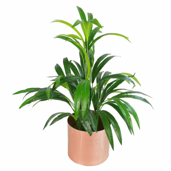 Leaf 7315 7140 600Ãƒâ€”600