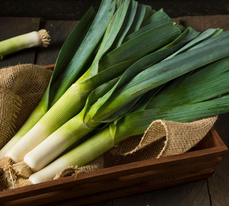 Leek