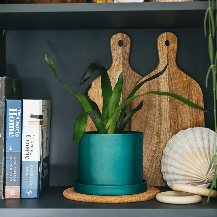 Matt Green Bloom Pot Inverness Rope