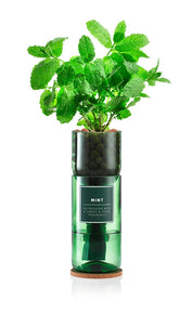 Eco-Friendly Hydro Herb Kit