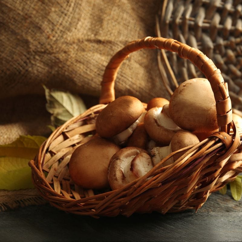 Mushrooms