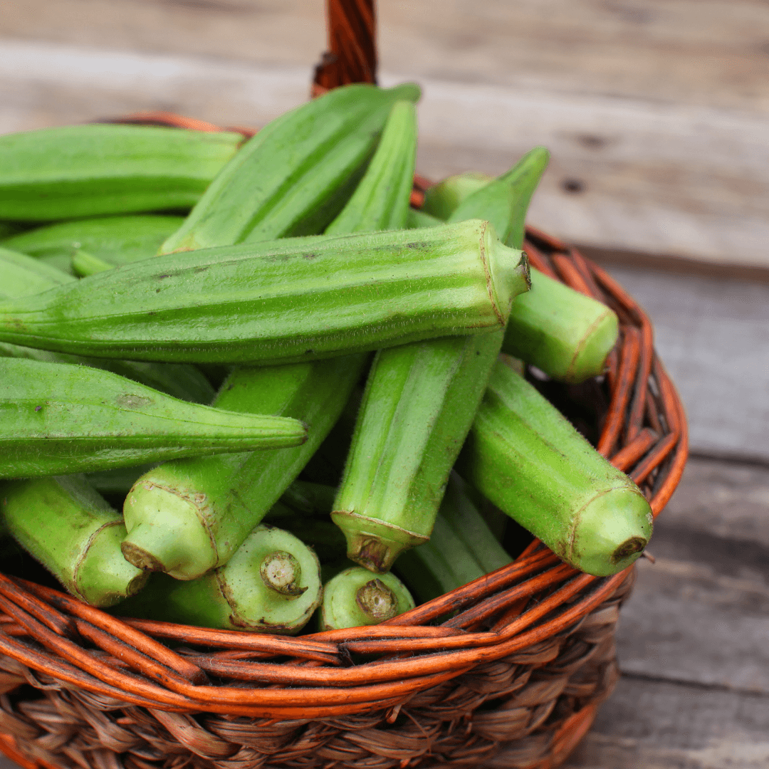 Okra
