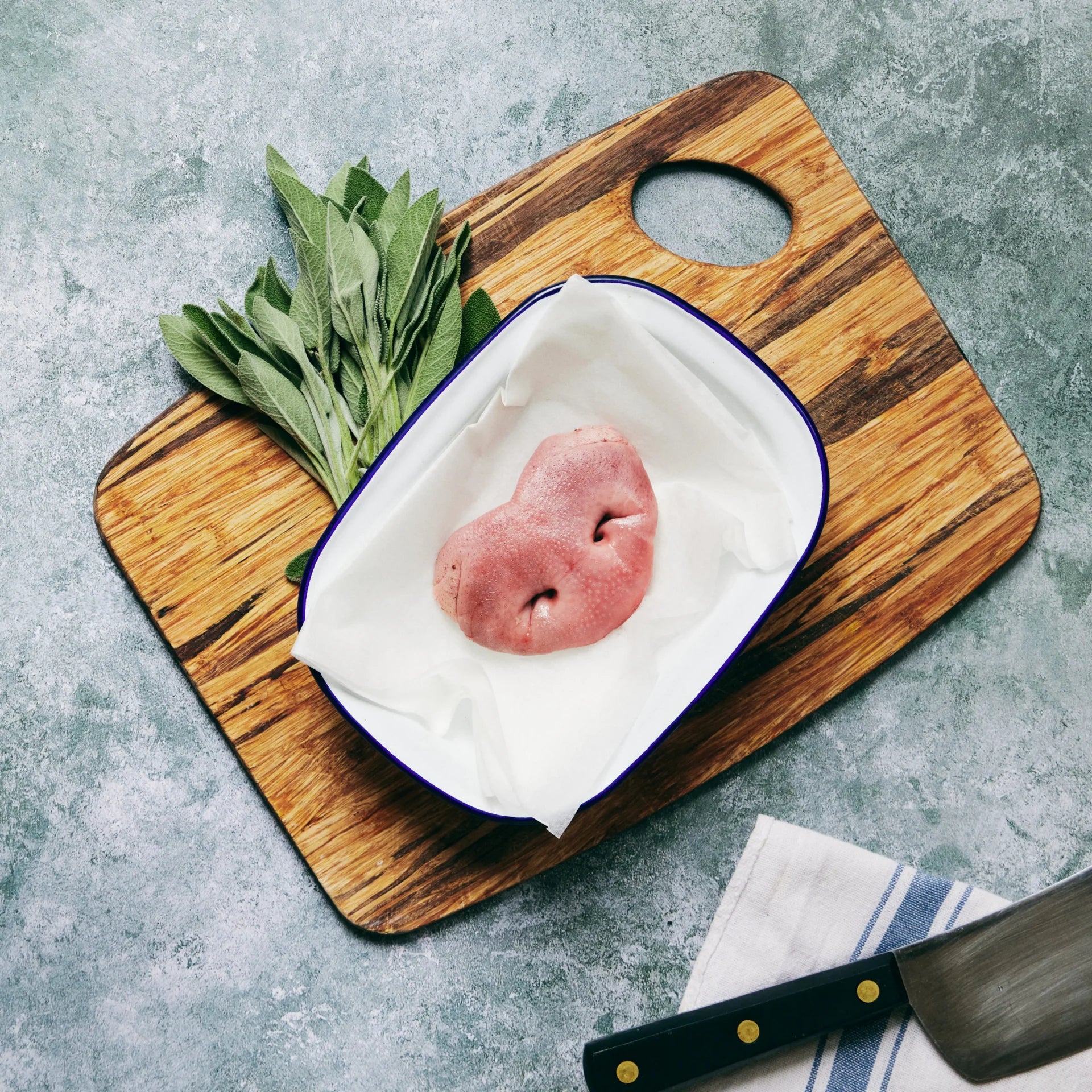 Pig Snout