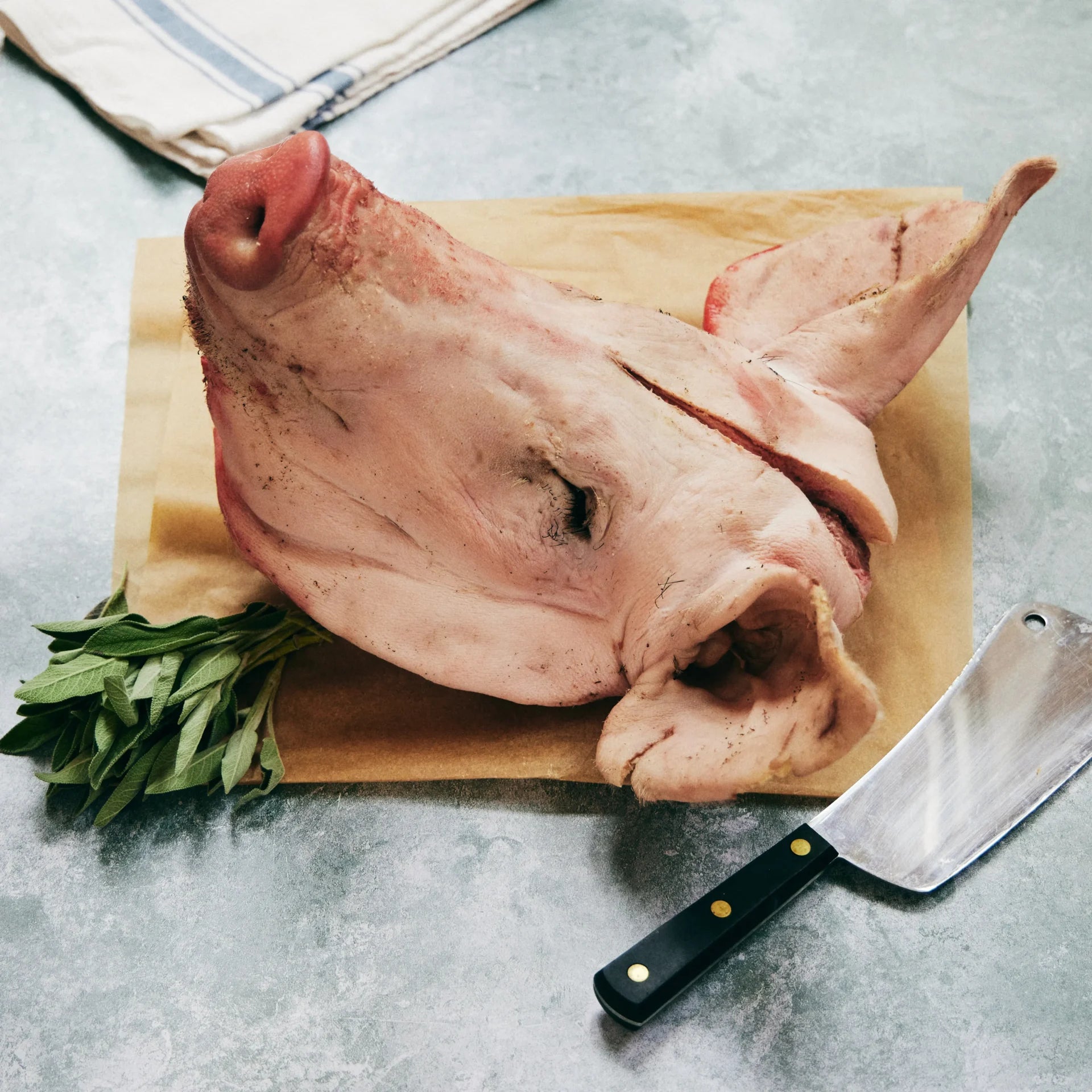 Pigs Head