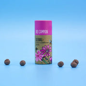 Wildflower Seedball Tube - Pack of 20