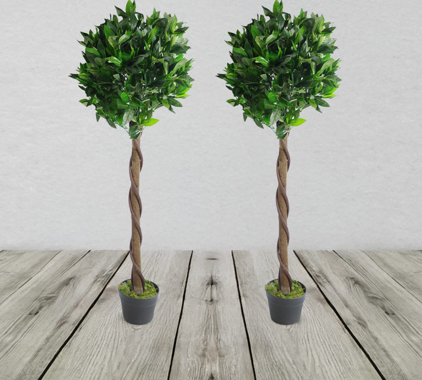 Plain Pair Of Stem Artificial Topiary Bay Laurel Ball Trees