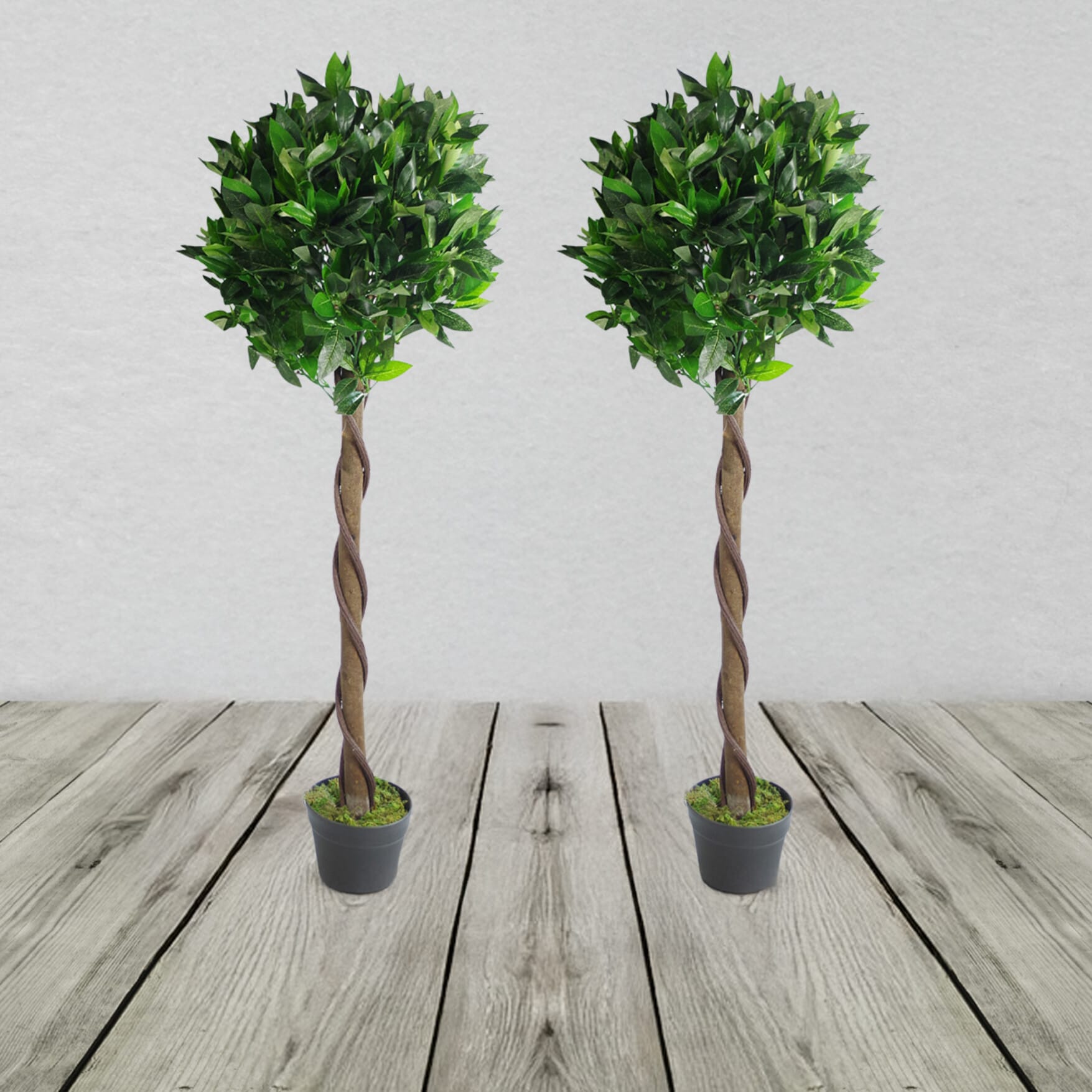 Plain Pair Of Stem Artificial Topiary Bay Laurel Ball Trees
