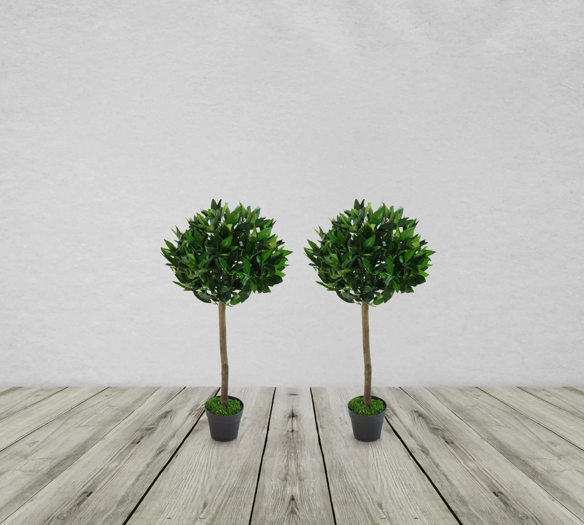 PLAIN PAIR OF STEM ARTIFICIAL TOPIARY BAY LAUREL BALL TREES