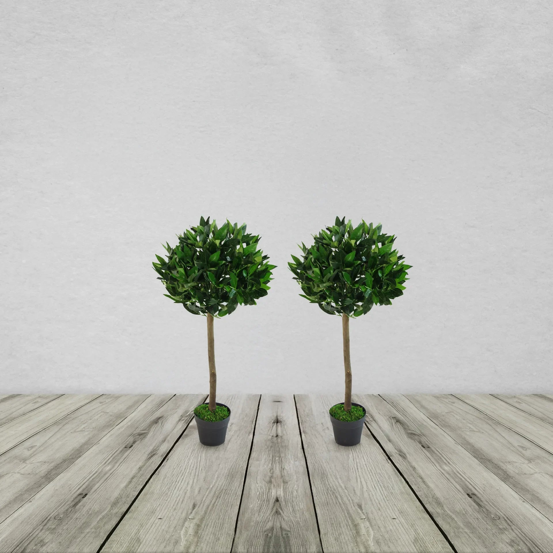 PLAIN PAIR OF STEM ARTIFICIAL TOPIARY BAY LAUREL BALL TREES