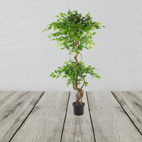 Twisted Trunk Artificial Japanese Fruticosa Style Ficus Tree